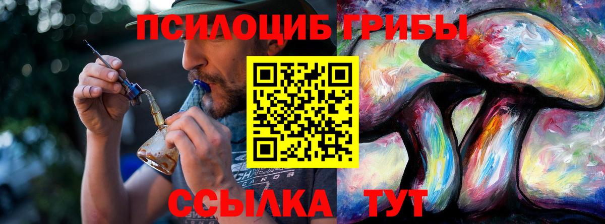 Галлюциногенные грибы Psilocybe  Вход с VPN  Карпинск 